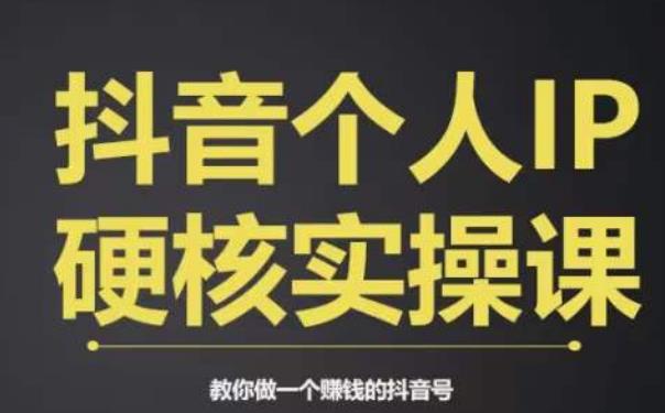 个人IP创富系统实战课，商业定位，流量打造，短视频变现，教你做个赚钱的抖音号-启程资源站