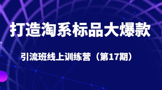 打造淘系标品大爆款引流班线上训练营（第17期）5天直播授课-启程资源站