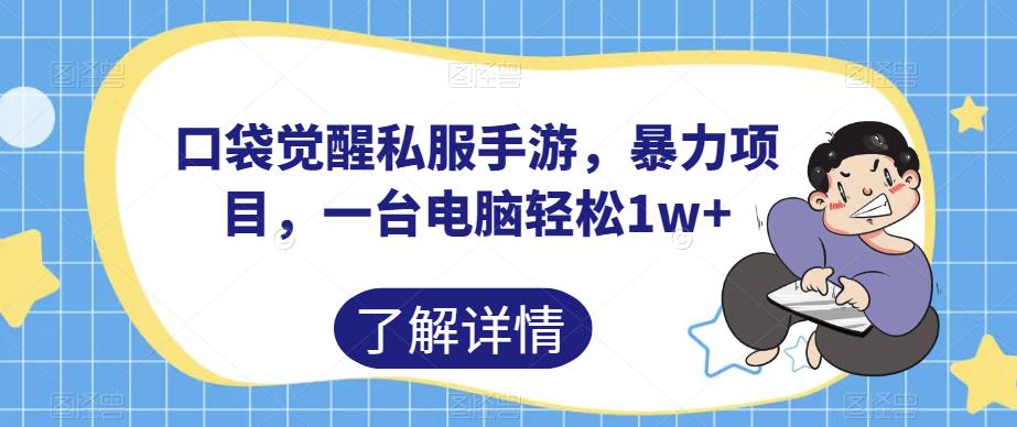 口袋觉醒私服手游，暴力项目，一台电脑轻松1w+【揭秘】-启程资源站