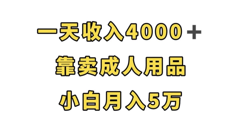 一天收入4000+，靠卖成人用品，小白轻松月入5万【揭秘】-启程资源站