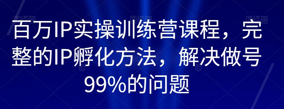 百万IP实操训练营课程，完整的IP孵化方法，解决做号99%的问题-启程资源站