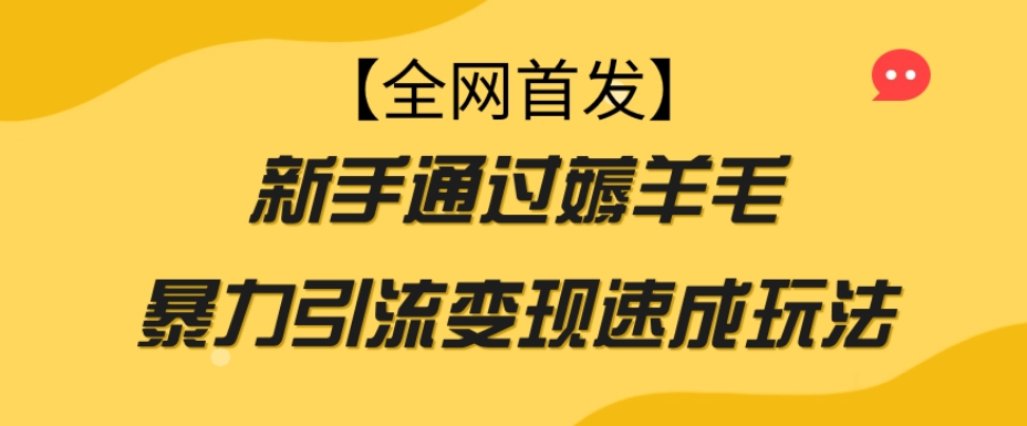 【全网首发】新手通过薅羊毛暴力引流变现速成玩法-启程资源站