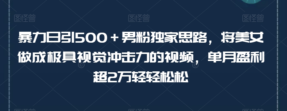 暴力日引500＋男粉独家思路，将美女做成极具视觉冲击力的视频，单月盈利超2万轻轻松松-启程资源站