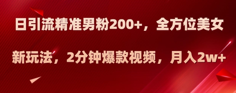 日引流精准男粉200+，全方位美女新玩法，2分钟爆款视频，月入2w+【揭秘】-启程资源站