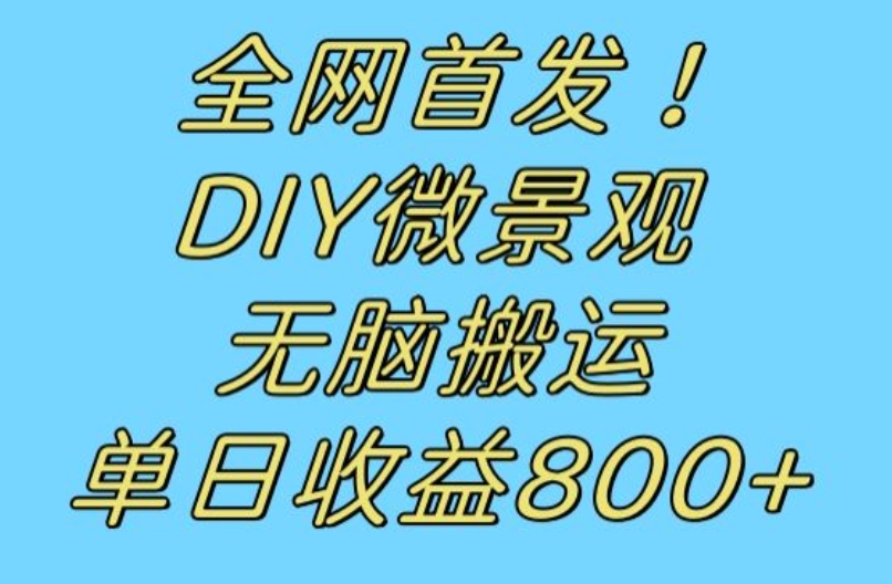 全网首发冷门赛道！DIY微景观，无脑搬运视频，日收益800+【揭秘】-启程资源站