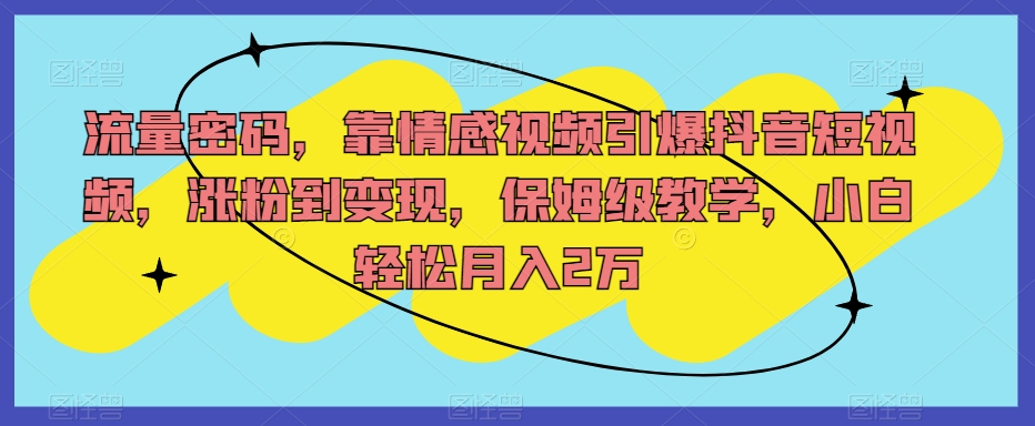 流量密码，靠情感视频引爆抖音短视频，涨粉到变现，保姆级教学，小白轻松月入2万【揭秘】-启程资源站