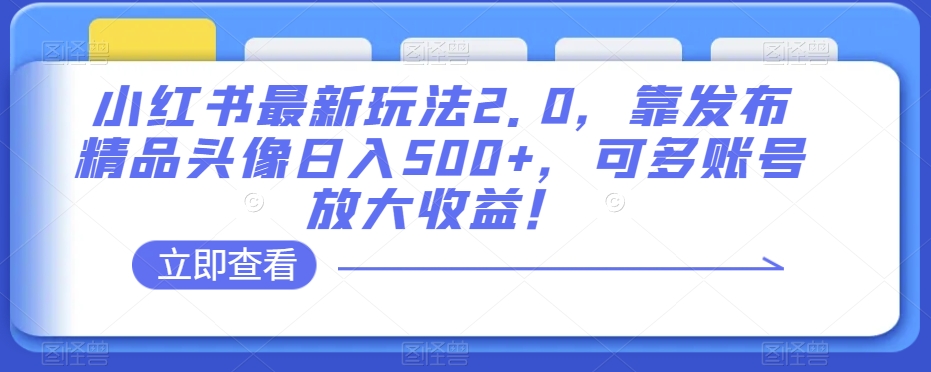 小红书最新玩法2.0，靠发布精品头像日入500+，可多账号放大收益！【揭秘】-启程资源站
