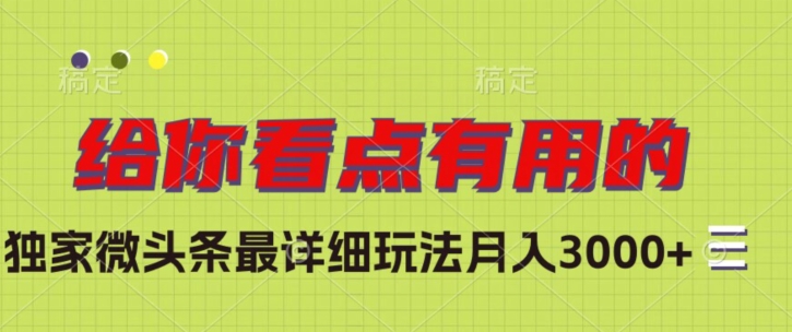 独家微头条最详细玩法，月入3000+【揭秘】-启程资源站