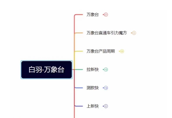 白羽·直引万搜索全篇，从0-1，多个类目实操经验总结付费-启程资源站