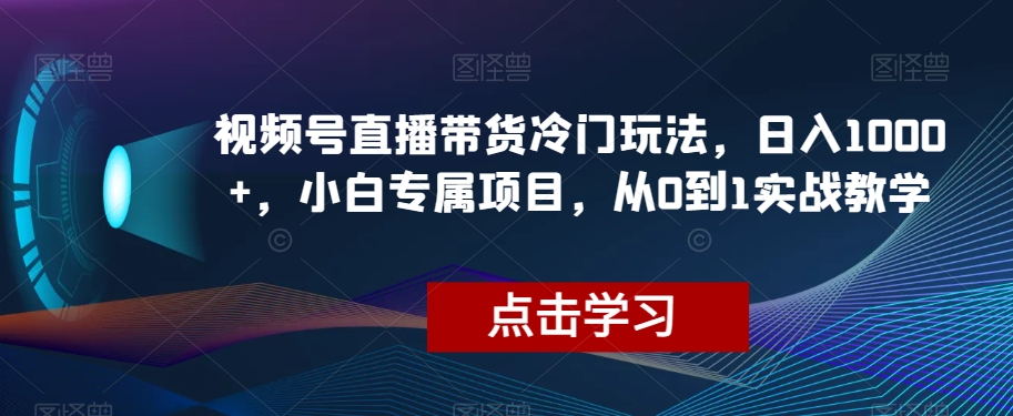 视频号直播带货冷门玩法，日入1000+，小白专属项目，从0到1实战教学【揭秘】-启程资源站