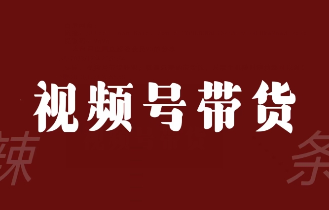 视频号带货联盟，赚信息差的带货钱，只需手机随时随地都可以做！-启程资源站