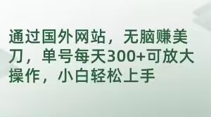 通过国外网站，无脑赚美刀，单号每天300+可放大操作，小白轻松上手【揭秘】-启程资源站