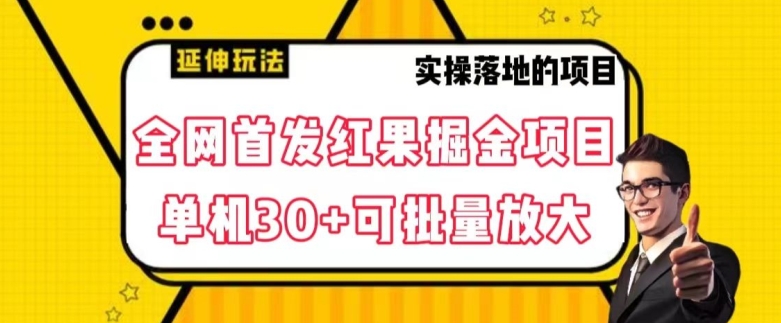 全网首发红果免费短剧掘金项目，单机30+可批量放大【揭秘】-启程资源站