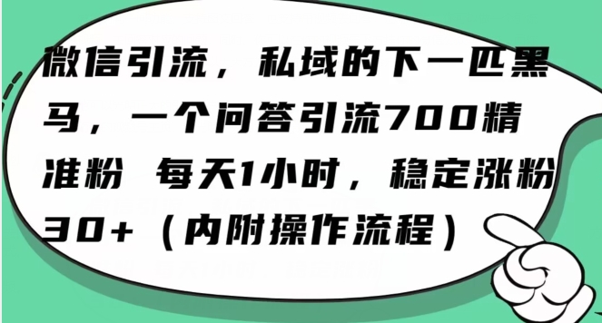 怎么搞精准创业粉？微信新赛道，每天一小时，利用Ai一个问答日引100精准粉-启程资源站