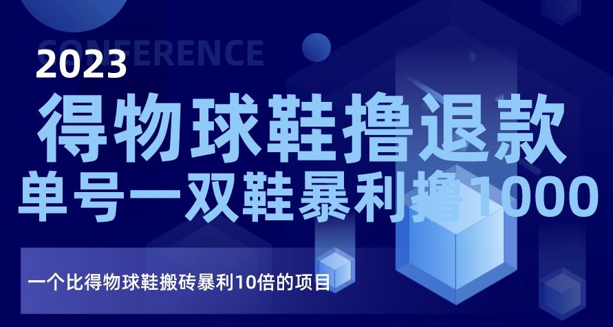 2023得物球鞋撸退款，单号一双鞋暴利撸1000，一个比得物球鞋搬砖暴利10倍的项目【揭秘】-启程资源站