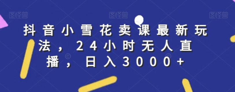 抖音小雪花卖课最新玩法，24小时无人直播，日入3000+【揭秘】-启程资源站