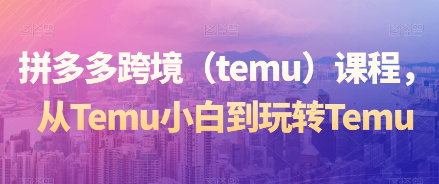 拼多多跨境（temu）课程，从Temu小白到玩转Temu-启程资源站