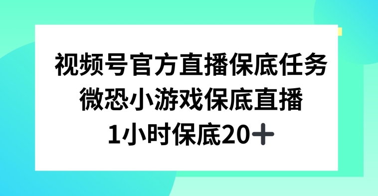 视频号直播任务，微恐小游戏，1小时20+【揭秘】-启程资源站