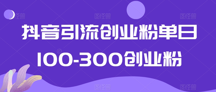 抖音引流创业粉单日100-300创业粉【揭秘】-启程资源站