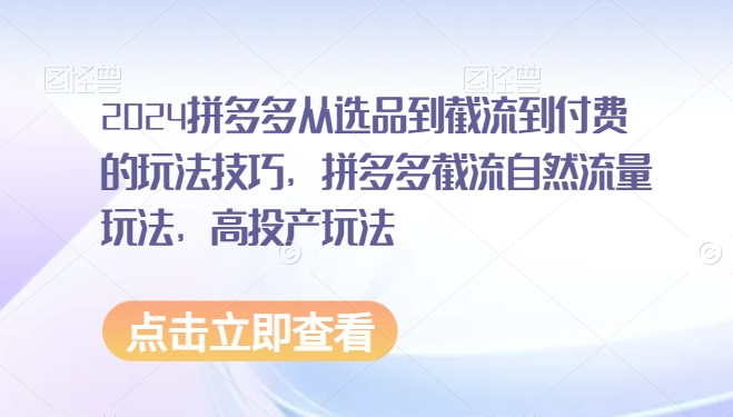 2024拼多多从选品到截流到付费的玩法技巧，拼多多截流自然流量玩法，高投产玩法-启程资源站