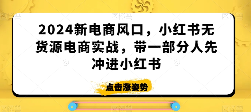 2024新电商风口，小红书无货源电商实战，带一部分人先冲进小红书-启程资源站