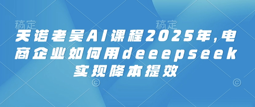 天诺老吴AI课程2025年，电商企业如何用deeepseek实现降本提效-启程资源站