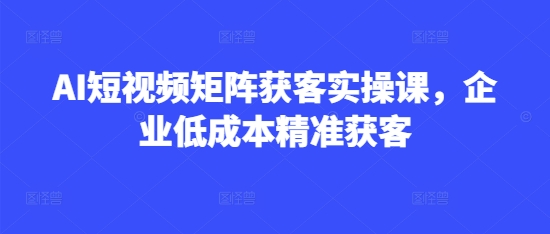 AI短视频矩阵获客实操课，企业低成本精准获客-启程资源站