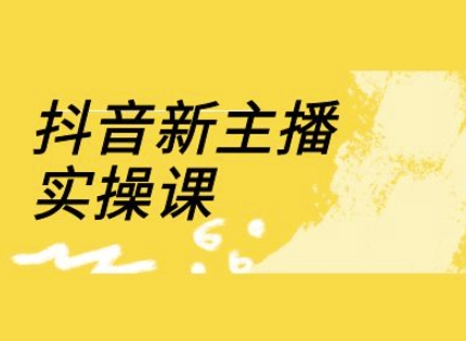抖音新主播实操课，直播间流量运营线上实操课(18节)-启程资源站