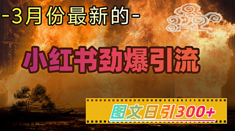 小红书超劲爆引流手段，图文日引300+轻松变现1W-启程资源站