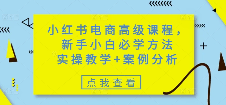 小红书电商高级课程，新手小白必学方法，实操教学+案例分析-启程资源站