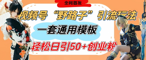视频号“野路子”玩法，评论区疯狂截流，一套模板单日单号引流50+创业粉-启程资源站